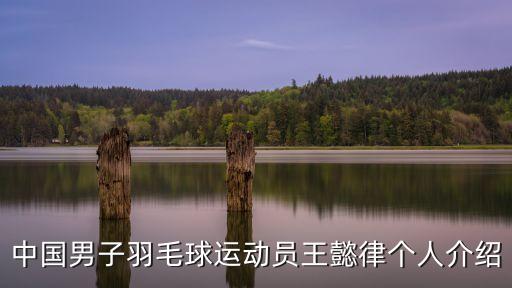 王懿律，中國(guó)羽毛球隊(duì)王義利