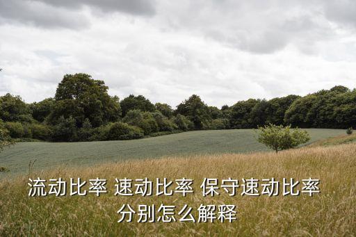 流動比率和速動比率，流動比率速動比率怎么算