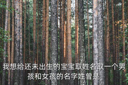 曾天宇，大家多提點意見啊