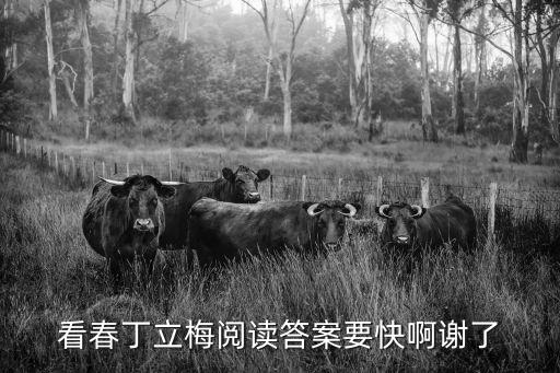 看春丁立梅閱讀答案要快啊謝了