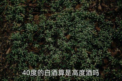40度的白酒算是高度酒嗎