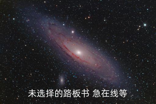 未選擇的路板書(shū) 急在線等