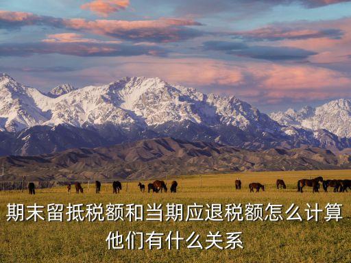期末留抵稅額和當(dāng)期應(yīng)退稅額怎么計(jì)算他們有什么關(guān)系