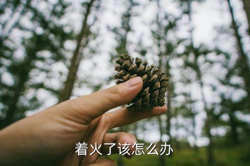 著火了該怎么辦