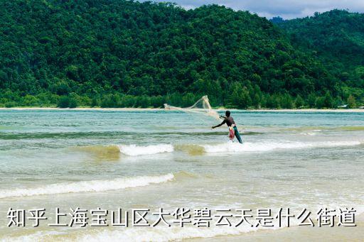 大華街道，上海寶山保利葉屬哪個街道