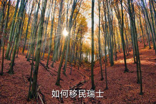 瑞士移民，移民瑞士有什么條件總體上容易嗎