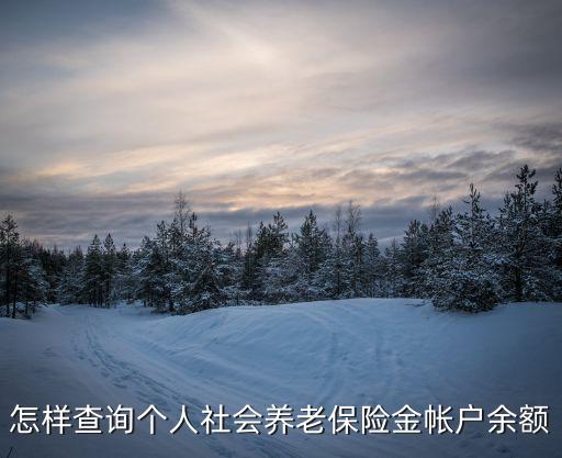 怎樣查詢個人社會養(yǎng)老保險金帳戶余額