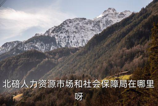 北碚區(qū)人力資源和社會保障局，重慶市北碚區(qū)社保局在什么地方
