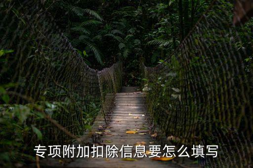 專項(xiàng)附加扣除填報(bào)，個(gè)人所得稅專項(xiàng)附加扣除信息表怎么填