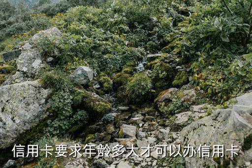 信用卡多少歲可以辦理，信用卡要求年齡多大才可以辦信用卡