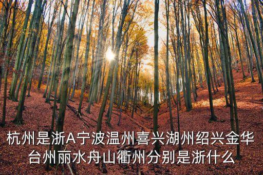 衢州是哪里，衢州在杭州的什么方向