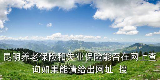 昆明養(yǎng)老保險(xiǎn)和失業(yè)保險(xiǎn)能否在網(wǎng)上查詢?nèi)绻苷?qǐng)給出網(wǎng)址  搜