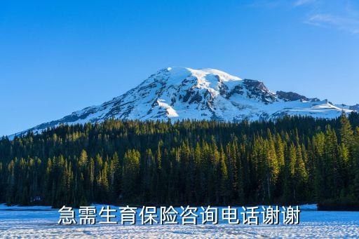 生育津貼咨詢電話，上海四險(xiǎn)一金生育保險(xiǎn)電話多少