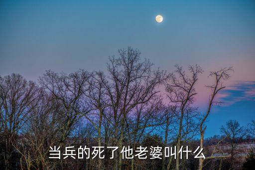 當(dāng)兵的死了他老婆叫什么