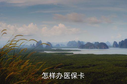 醫(yī)保怎么辦理，如何辦醫(yī)療保險(xiǎn)