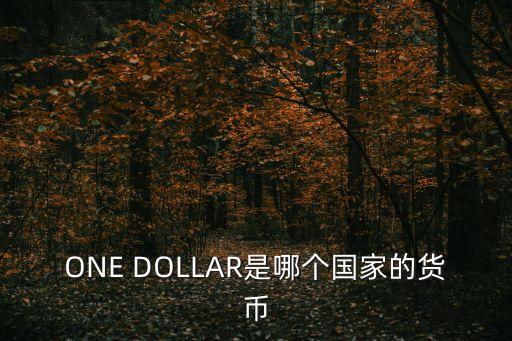 紐幣是哪個國家的，紐元是哪個國家的貨幣