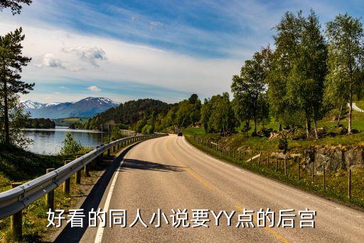 好看的同人小說要YY點的后宮