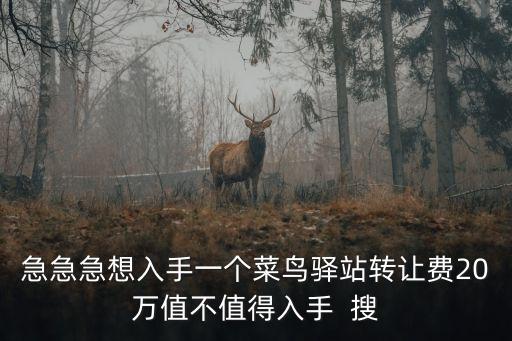 急急急想入手一個菜鳥驛站轉(zhuǎn)讓費(fèi)20萬值不值得入手  搜