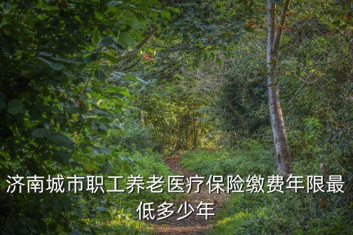 濟(jì)南市醫(yī)療保險(xiǎn)，濟(jì)南醫(yī)保上限金額是多少
