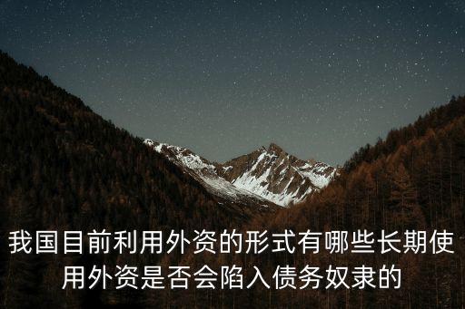 利用外資，我國目前利用外資的形式有哪些長期使用外資是否會陷入債務奴隸的