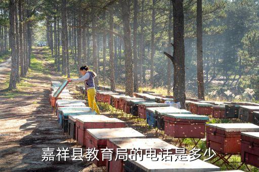 濟(jì)寧教育局電話，嘉祥縣教育局的電話是多少
