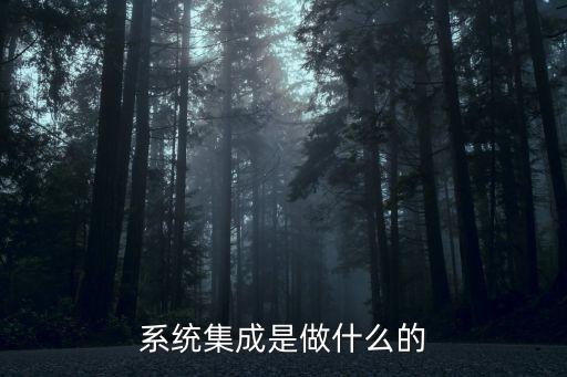 信息系統(tǒng)集成服務(wù)，系統(tǒng)集成是做什么的