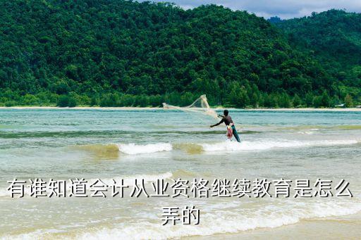 有誰知道會計從業(yè)資格繼續(xù)教育是怎么弄的