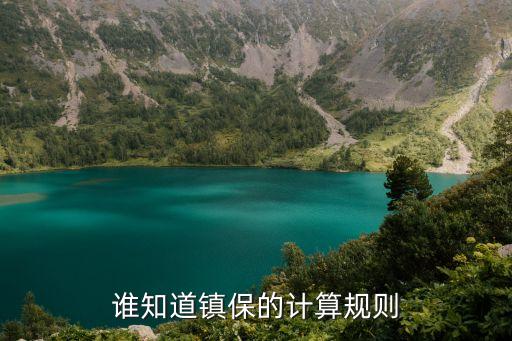 誰(shuí)知道鎮(zhèn)保的計(jì)算規(guī)則