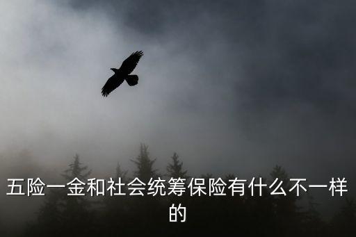 五險(xiǎn)一金和社會(huì)統(tǒng)籌保險(xiǎn)有什么不一樣的