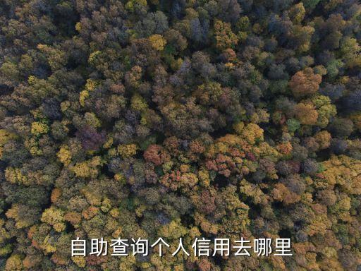 自助查詢，自助查詢個人信用去哪里