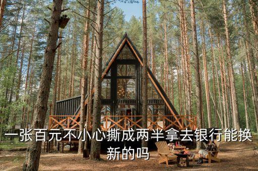 一張百元不小心撕成兩半拿去銀行能換新的嗎