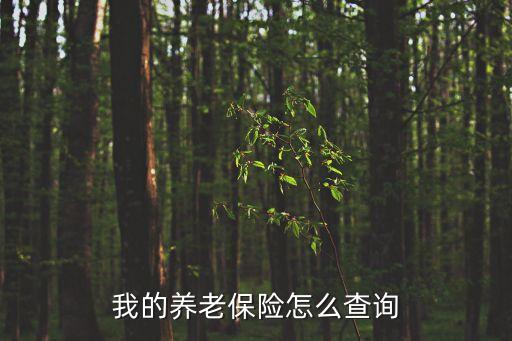 養(yǎng)老保險(xiǎn)查詢(xún)，我的養(yǎng)老保險(xiǎn)怎么查詢(xún)