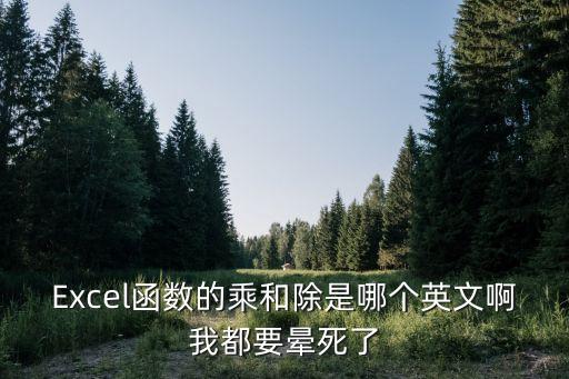 Excel函數(shù)的乘和除是哪個英文啊我都要暈死了