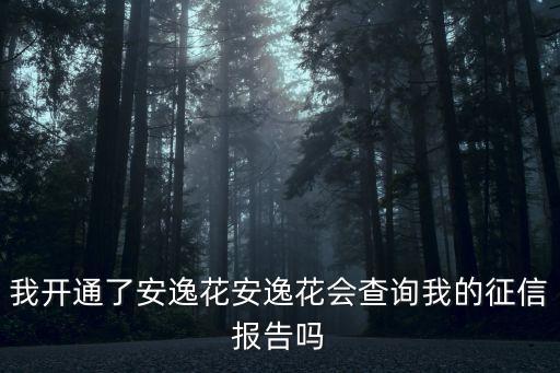 我開通了安逸花安逸花會查詢我的征信報告嗎