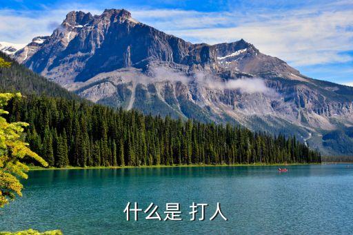 打人，什么是 打人