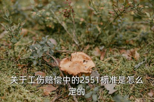 關于工傷賠償中的2551標準是怎么定的