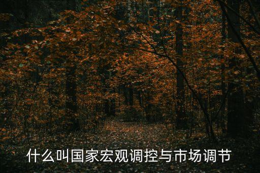 什么叫國(guó)家宏觀調(diào)控與市場(chǎng)調(diào)節(jié)