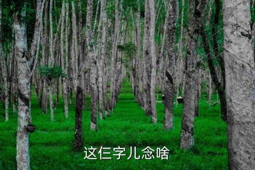 李正權，曉滴李正權是誰不