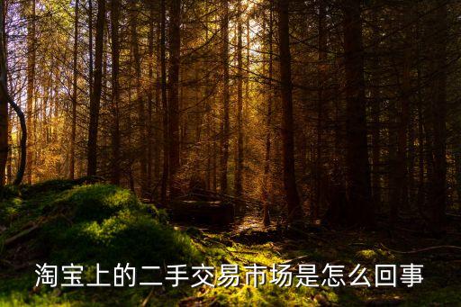 淘寶上的二手交易市場(chǎng)是怎么回事