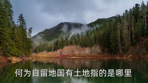 何為自留地國有土地指的是哪里