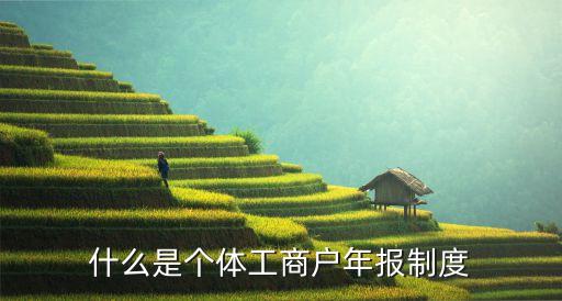 什么是個(gè)體工商戶年報(bào)制度
