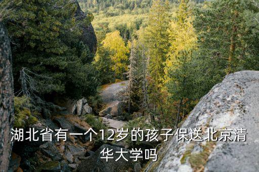 湖北省有一個12歲的孩子保送北京清華大學(xué)嗎