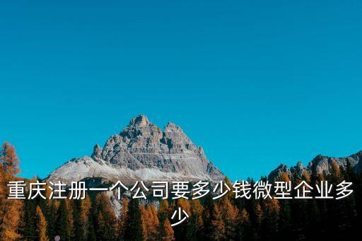 重慶注冊一個公司要多少錢微型企業(yè)多少
