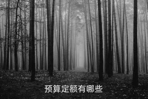工程預算定額，預算定額是什么