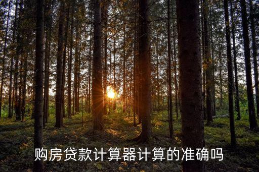 招行貸款計(jì)算器，購(gòu)房貸款計(jì)算器計(jì)算的準(zhǔn)確嗎