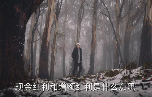 增額紅利，增額紅利的定義是什么