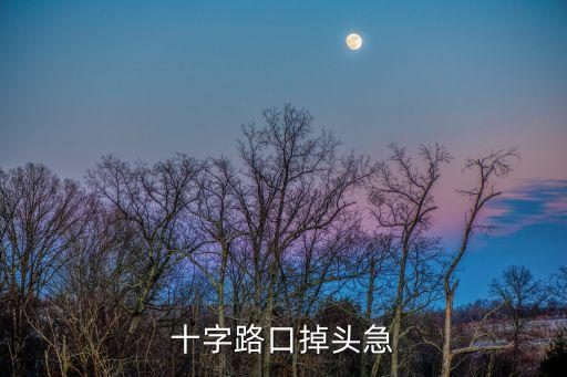 十字路口掉頭，紅綠燈十字路口能調(diào)頭不