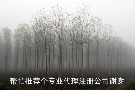 幫忙推薦個(gè)專業(yè)代理注冊(cè)公司謝謝