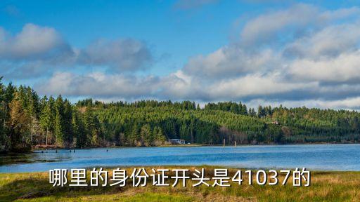 哪里的身份證開頭是41037的