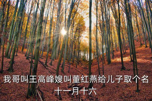 我哥叫王高峰嫂叫董紅燕給兒子取個名十一月十六